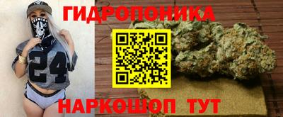 гидра Коммунар